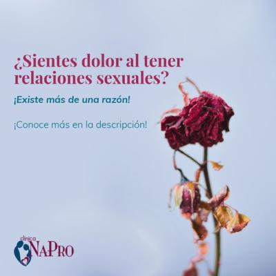 TP Sientes Dolor Al Tener Relaciones Sexuales Ginecobstetra Dr