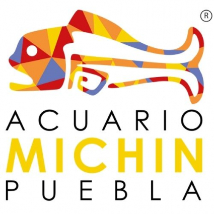 Logotipo - Acuario Michin Puebla