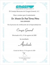 Gracias a su precisión y destreza en el manejo de instrumentos laparoscópicos, el Dr. Torres ha logrado excelentes resultados en cirugías. - Dr. Vicente de Paul Torres Pérez