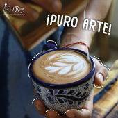 ¡Una experiencia enriquecedora para todos los amantes del café! - Cafe D'Ruta