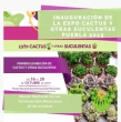Expo Cactus y Otras Suculentas