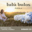 Lulú Bulos en Puebla
