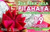 Feria de la Pitahaya en Santa Inés Ahuatempan