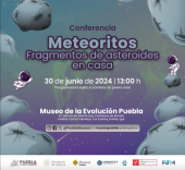 Meteoritos: Fragmentos de Asteroides en Casa 