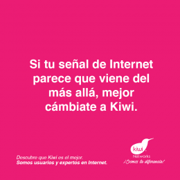 Kiwi Networks es tu mejor opción - Kiwi Networks - Puebla