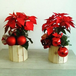 Vincent Boutique Floral
Decora tu cena de #Navidad con estos increíbles noche buenas y demás detall...
