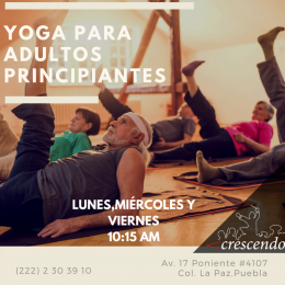 Yoga para adultos principiantes - Crescendo Music - Puebla