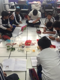 Los alumnos realizaron algunas actividades que les permitieron entender como es el trabajo de los di...