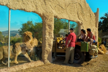 TP: Fotos de: ¡Conoce el nuevo sendero de leones! – Africam Safari - Puebla  – 